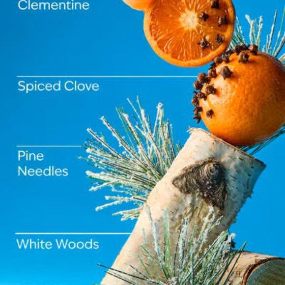 Bath & Body Works Winter Gentle & Clean Foaming Hand Soap - Picture 2 of 2